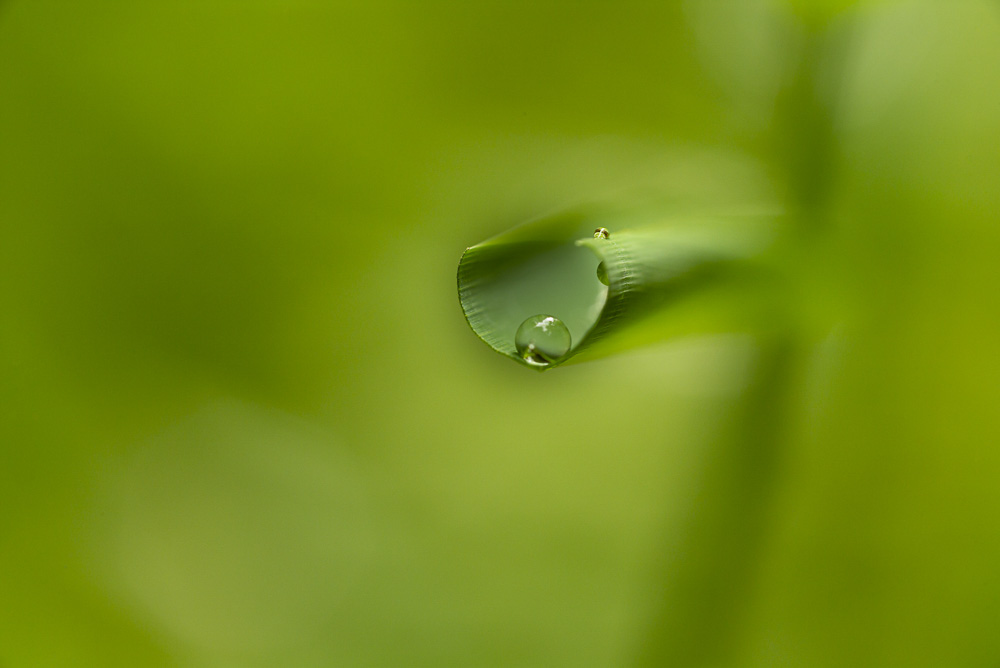 Platz 3 Michael Mayer